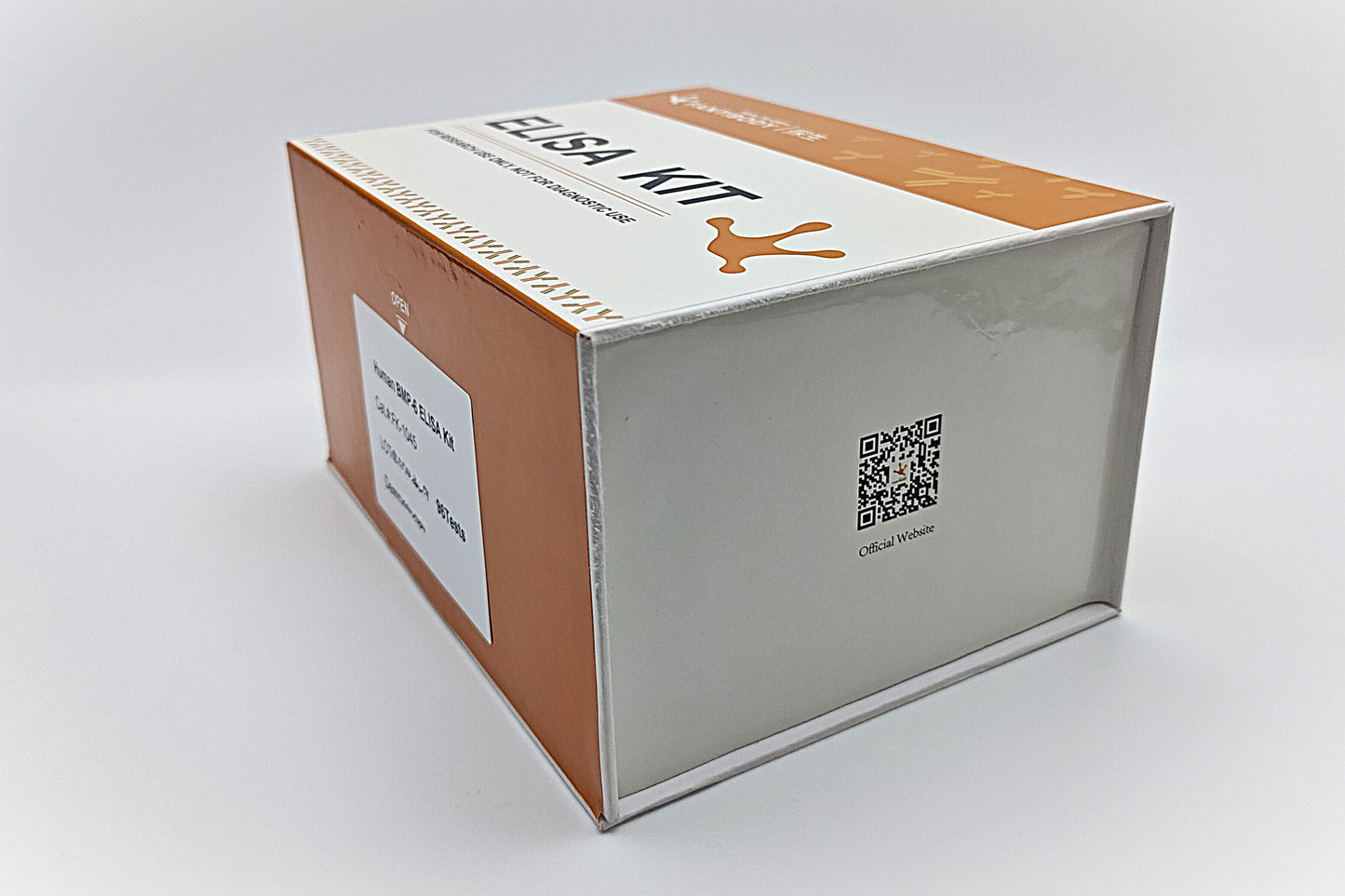 Human BMP-6 ELISA Kit