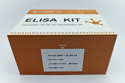 Human BMP-7 ELISA Kit