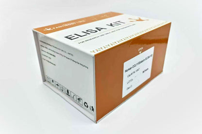 Human CCL11/Eotaxin ELISA Kit