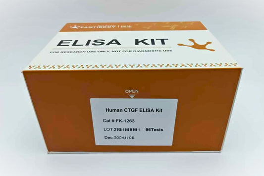 Human CTGF ELISA Kit