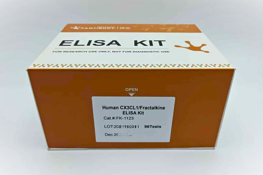 Human CX3CL1/Fractalkine ELISA Kit