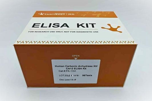 Human Carbonic Anhydrase XII/CA12 ELISA Kit