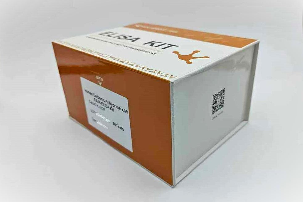 Human Carbonic Anhydrase XIV/CA14 ELISA Kit