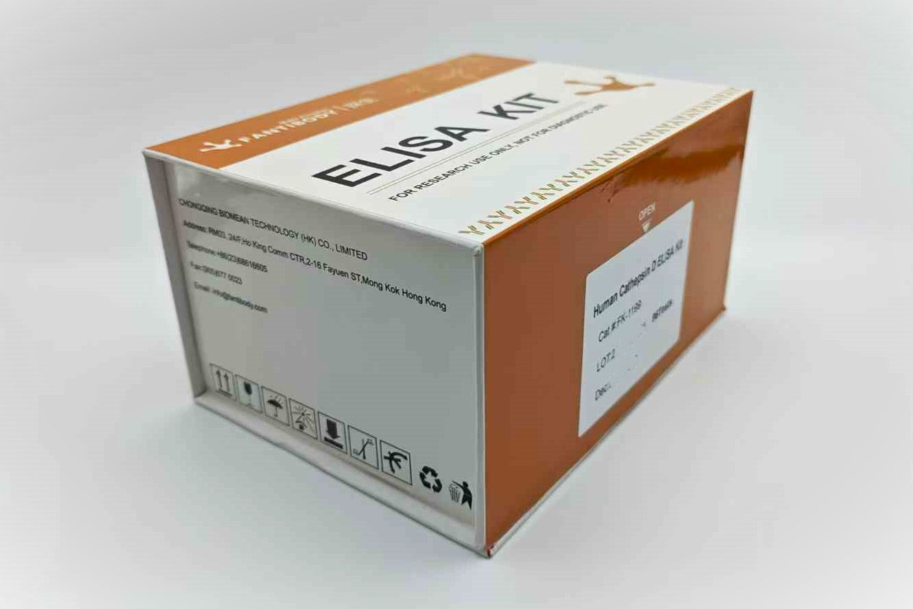 Human Cathepsin D ELISA Kit