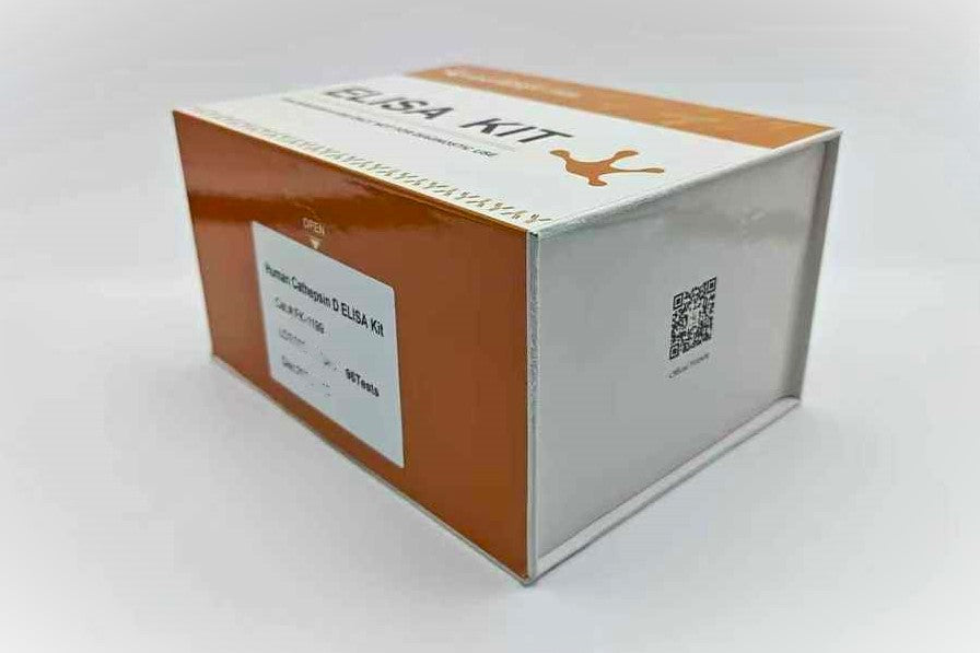 Human Cathepsin D ELISA Kit