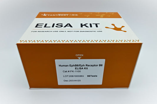 Human EphB6/Eph Receptor B6 ELISA Kit