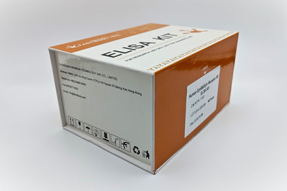 Human EphB6/Eph Receptor B6 ELISA Kit