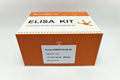 Human XPNPEP2 ELISA Kit