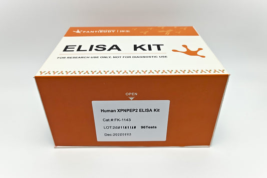 Human XPNPEP2 ELISA Kit