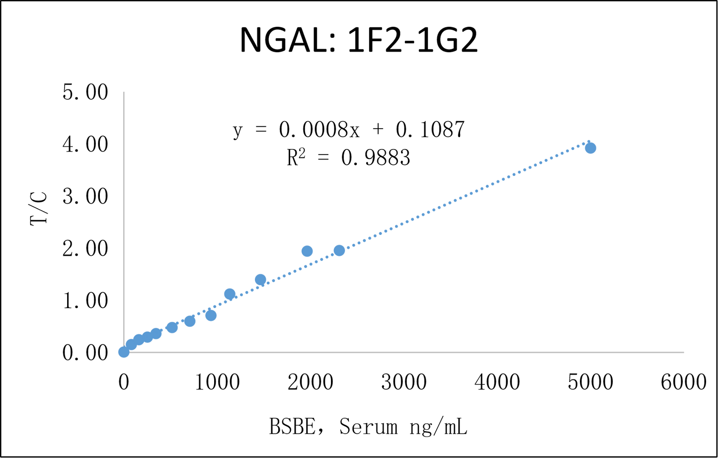 NGAL Antibody