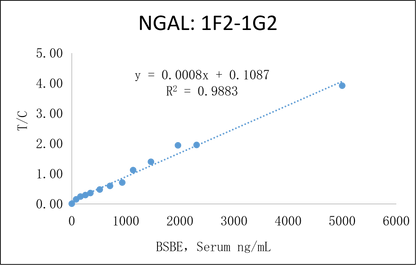 NGAL Antibody