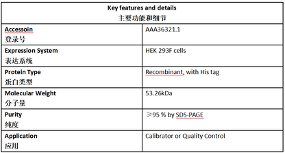 MMP-3 Antigen