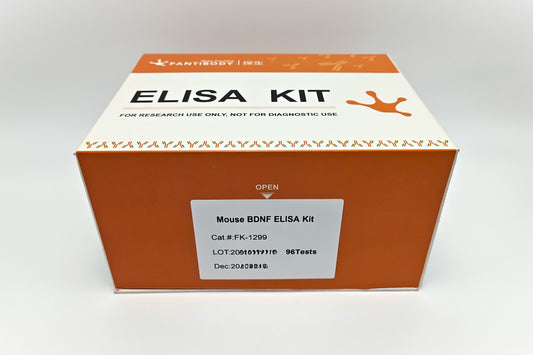 Mouse BDNF ELISA Kit