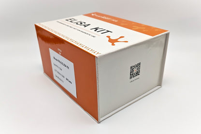 Mouse IFN-β ELISA Kit