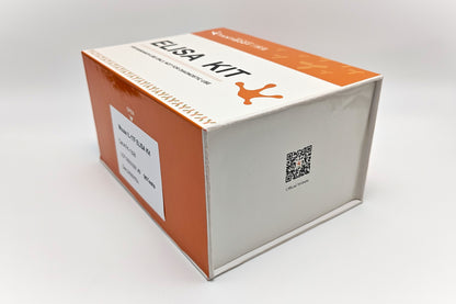 Mouse IL-17F ELISA Kit