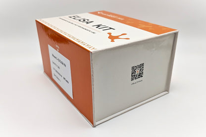 Mouse IL-1β ELISA Kit