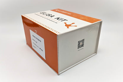 Mouse IL-6 ELISA Kit