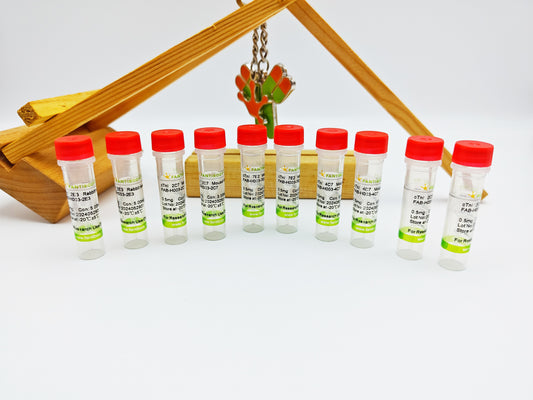 TnC Antibody