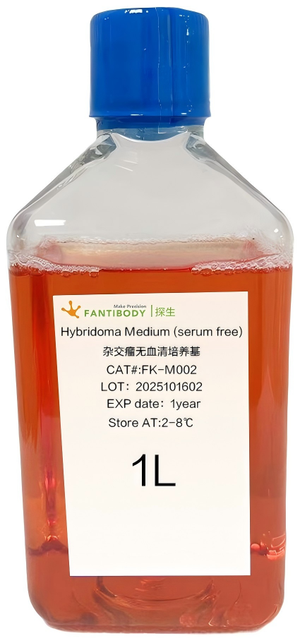 Hybridoma Medium (serum free)